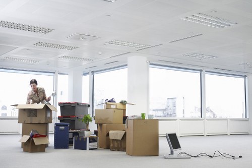Careful loading of boxes and household items into a removal van